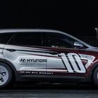 Hyundai Santa Fe: Zvijer s 1040 KS