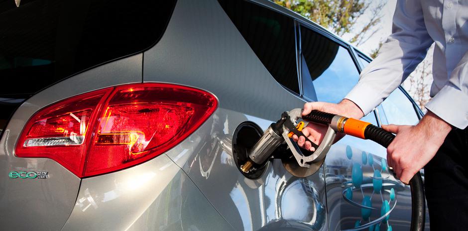 Plin - prednosti i mane | Author: Opel