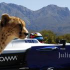 Neobična utrka ubrzanja: Gepard protiv Formule E