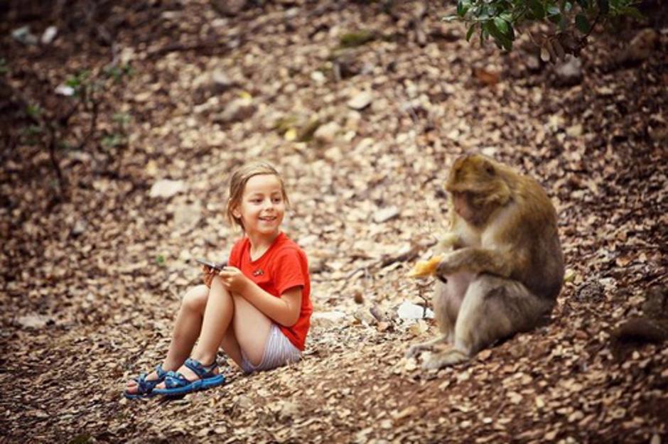 Igra s majmunom u Maroku  | Author: Facebook/Mihai Barbu