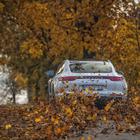Porsche Panamera: Voli putovanja, zavoje još više