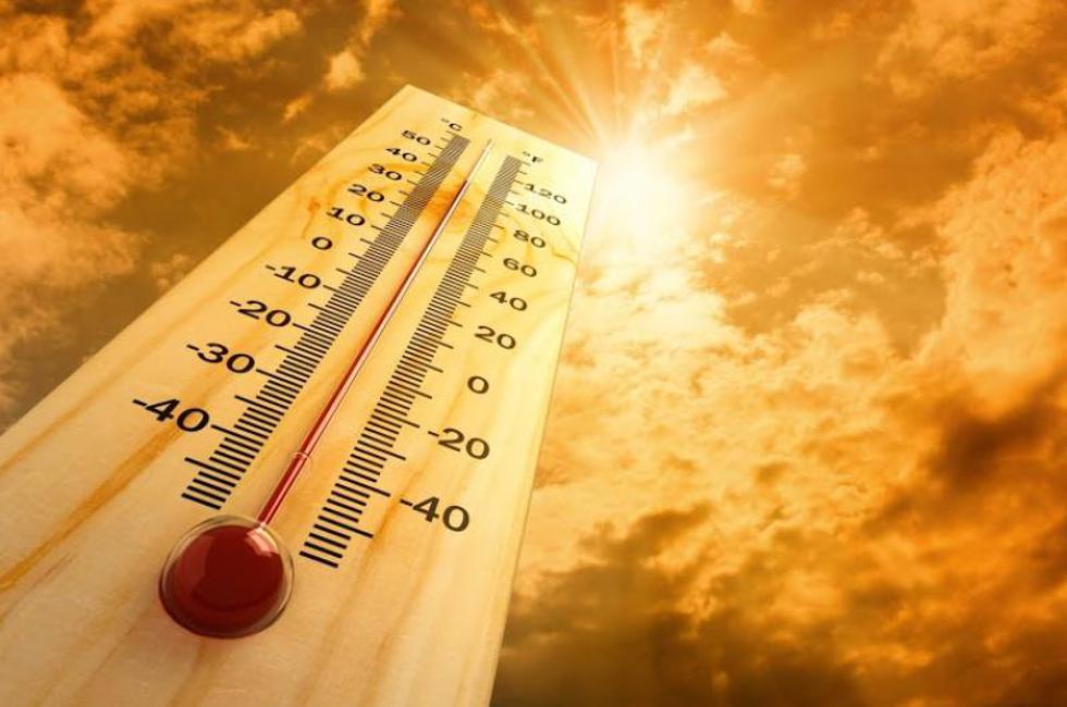 TOP 7 trikova kako smanjiti nesnosnu ljetnu vrućinu u automobilu