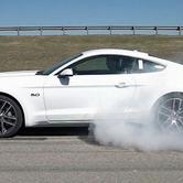 VIDEO FORD MUSTANG GT BURNOUT