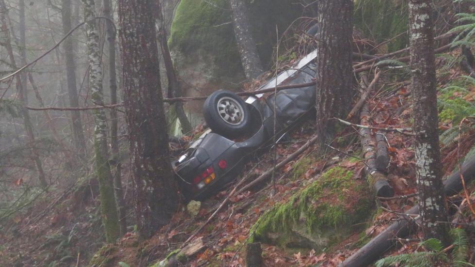 Ukradeni Porsche pronađen u šumi nakon 26 godina