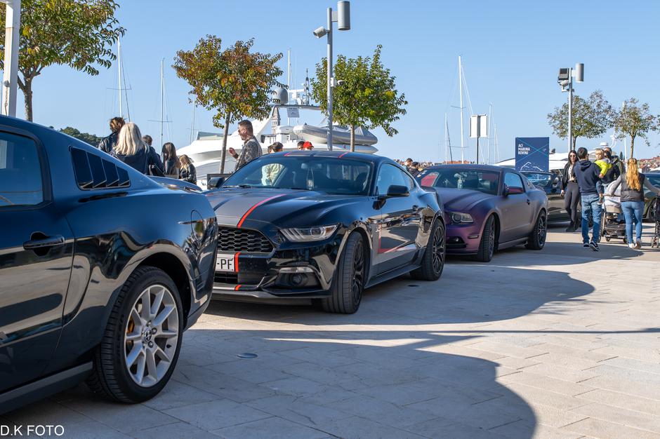 Author: Dragoljub Koleski