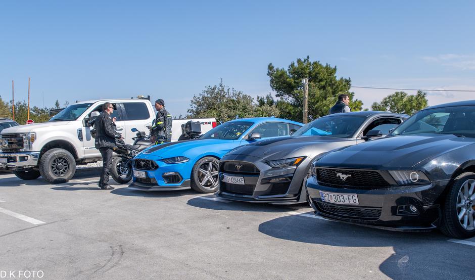 Author: Dragoljub Koleski