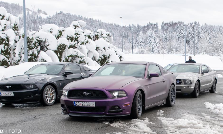 Author: Dragoljub Koleski