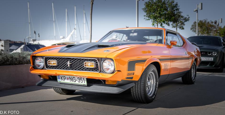 Author: Dragoljub Koleski