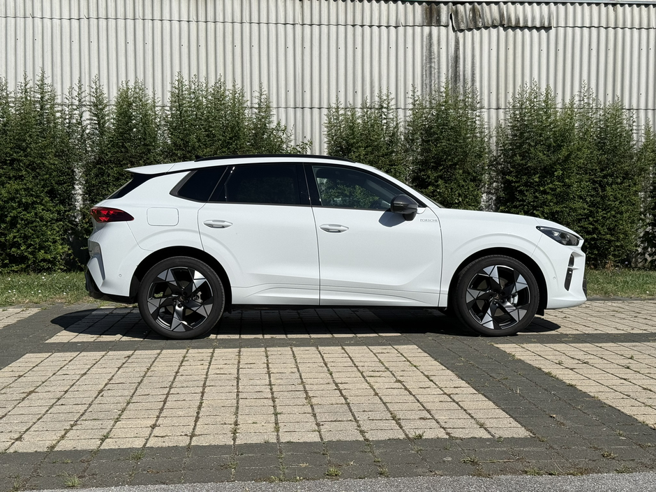 Author: Dubravko Kolarić