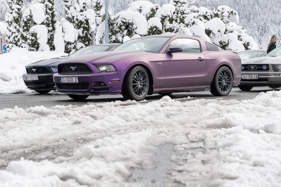 Author: Dragoljub Koleski