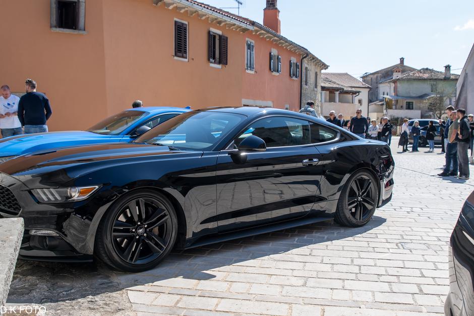 Author: Dragoljub Koleski