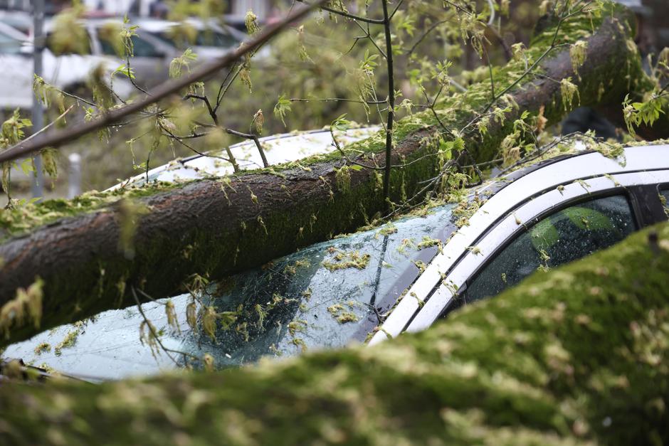 Zagreb:  Nevrijeme i jak vjetar ruše drveće koje pada po automobilima | Author: Josip Mikacic/PIXSELL