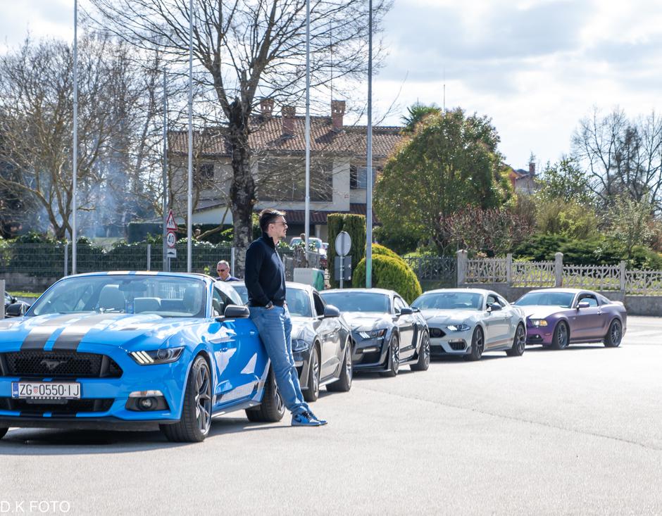 Author: Dragoljub Koleski