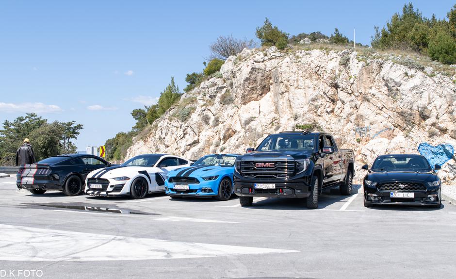 Author: Dragoljub Koleski