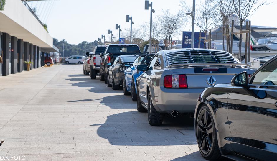 Author: Dragoljub Koleski