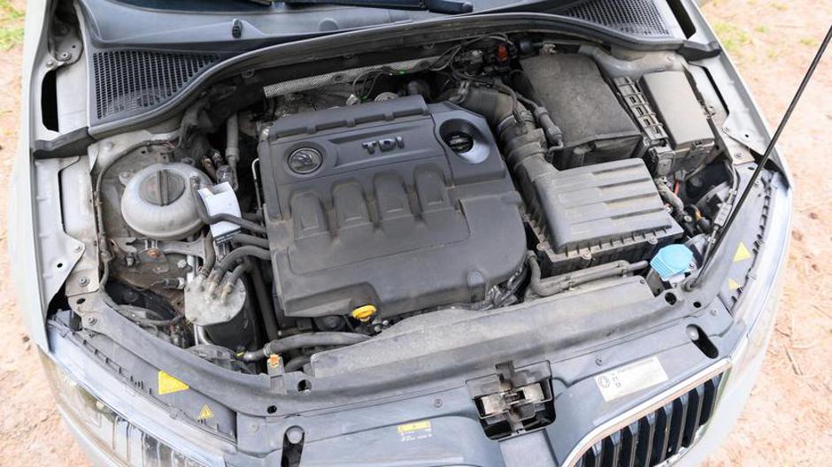 Author: Jonas Walzberg/DPA/PIXSELL