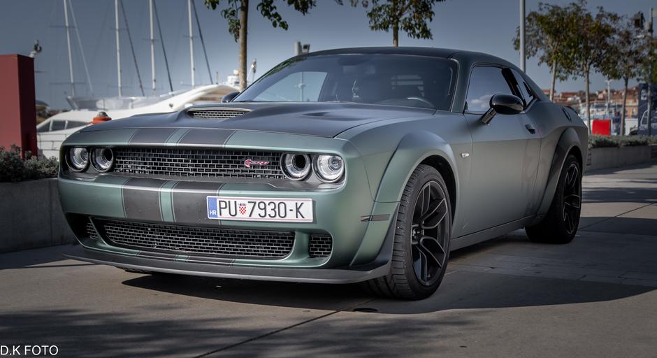 Author: Dragoljub Koleski