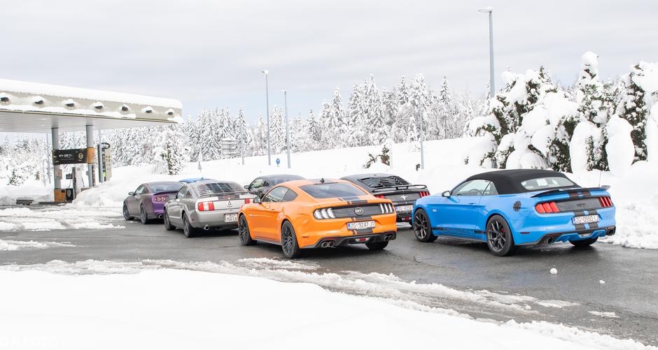 Author: Dragoljub Koleski