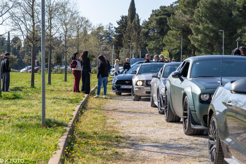 Author: Dragoljub Koleski