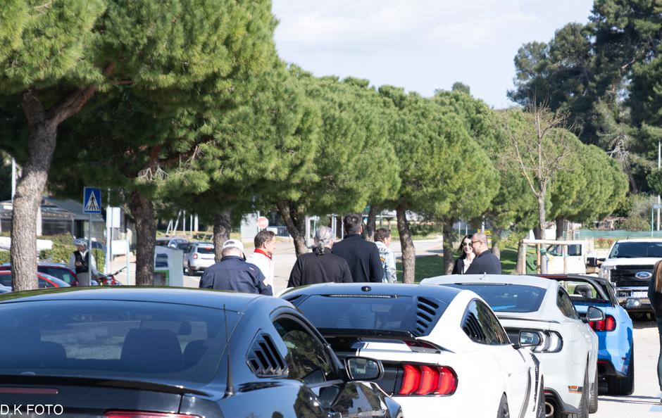 Author: Dragoljub Koleski