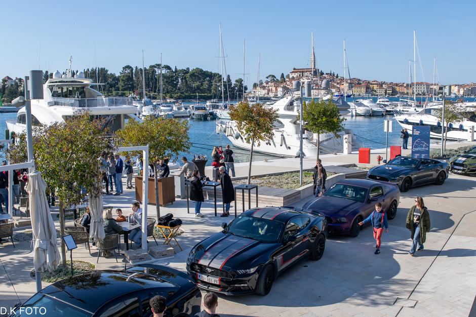 Author: Dragoljub Koleski