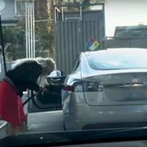 Žena pokušava 'uliti gorivo' u Teslu S