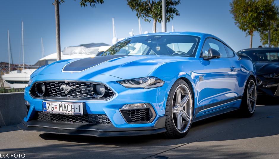 Author: Dragoljub Koleski