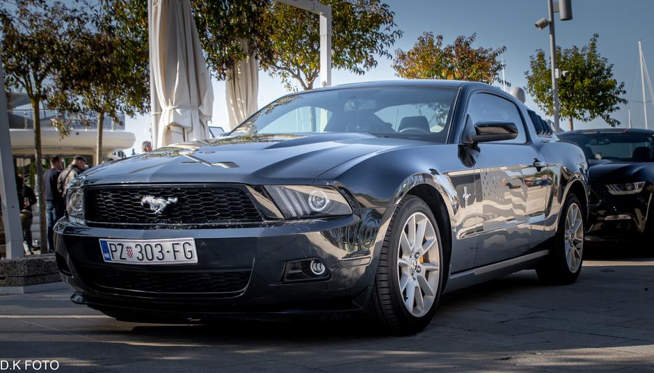 Author: Dragoljub Koleski