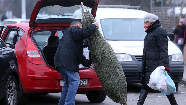 Zagreb: Na Trešnjeva?koj tržnici po?ela prodaja boži?nih jelki