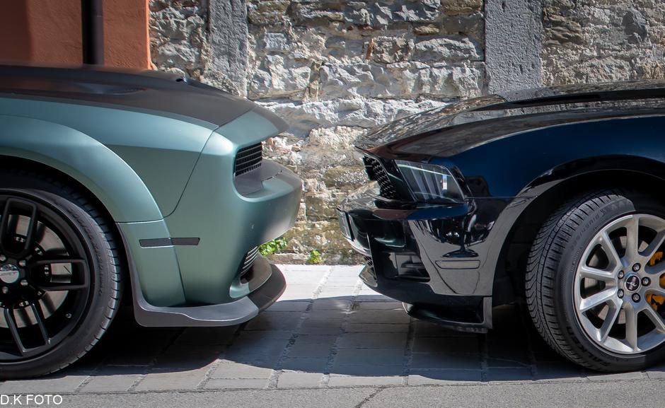 Author: Dragoljub Koleski