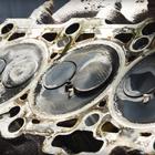 Ovako izgleda motor Škode Octavije nakon 700.000 kilometara