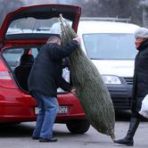 Zagreb: Na Trešnjeva?koj tržnici po?ela prodaja boži?nih jelki