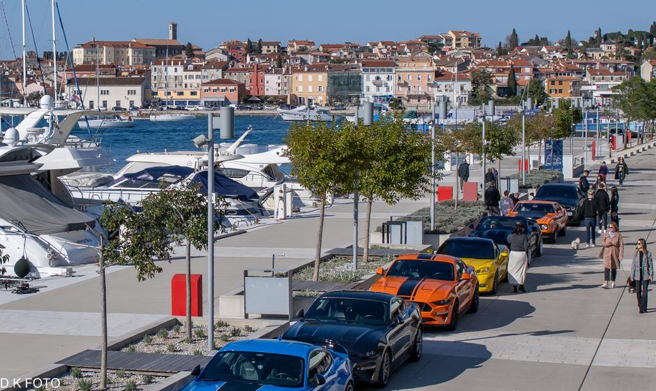 Author: Dragoljub Koleski