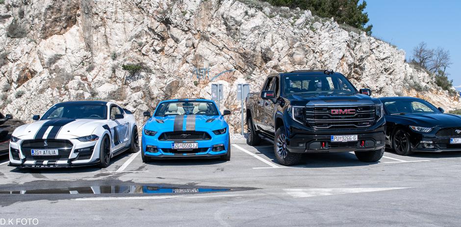 Author: Dragoljub Koleski