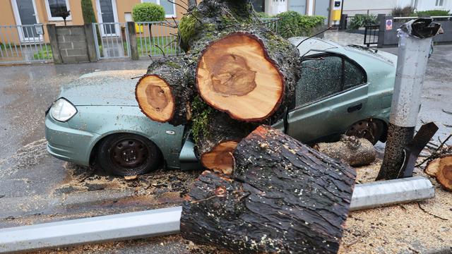 Zagreb: Nevrijeme srušilo stablo koje  je palo na automobil