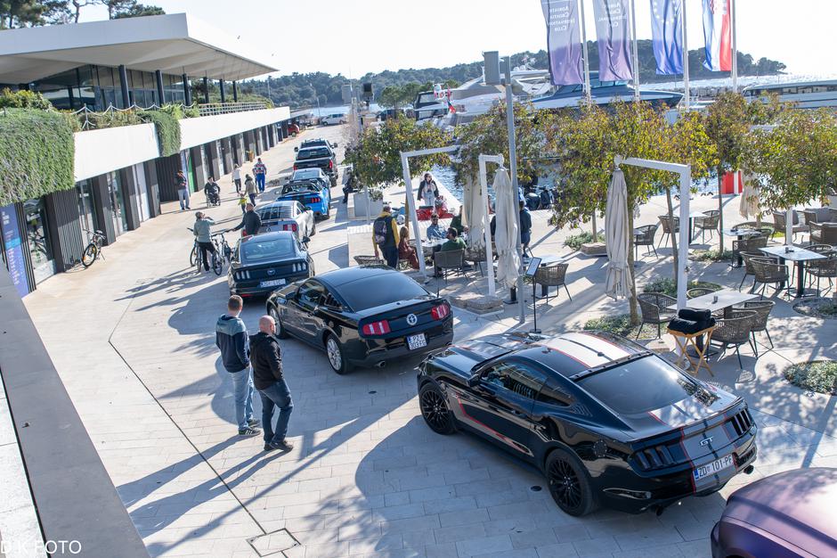 Author: Dragoljub Koleski