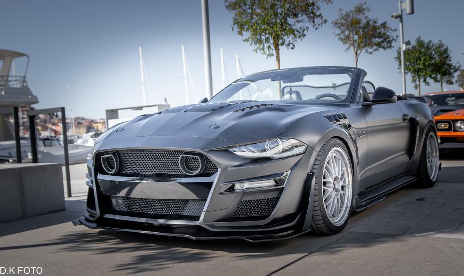 Author: Dragoljub Koleski