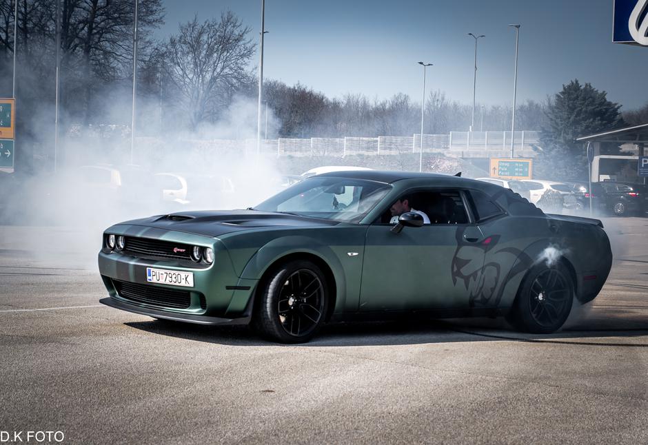 Author: Dragoljub Koleski