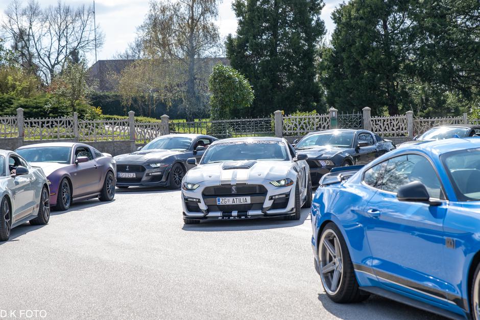 Author: Dragoljub Koleski