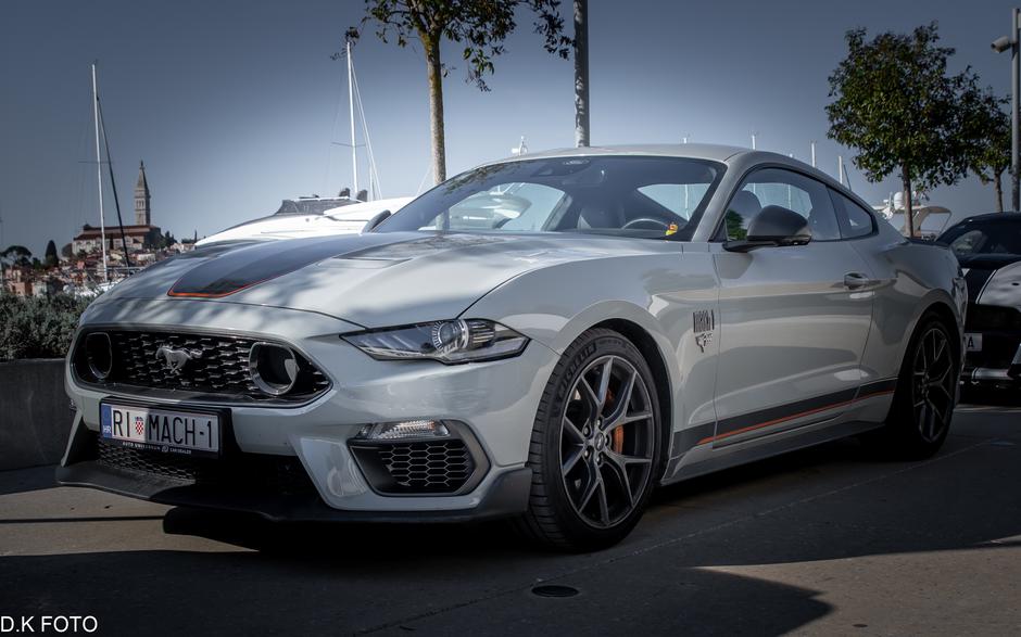 Author: Dragoljub Koleski